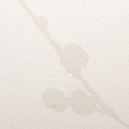 New England Willow - D15529439_12_Warm.png