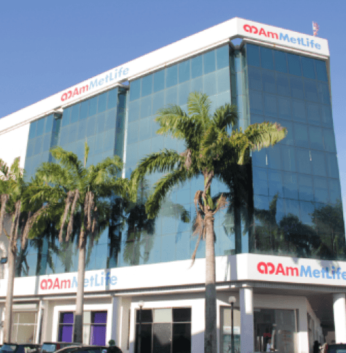 AmMetLife